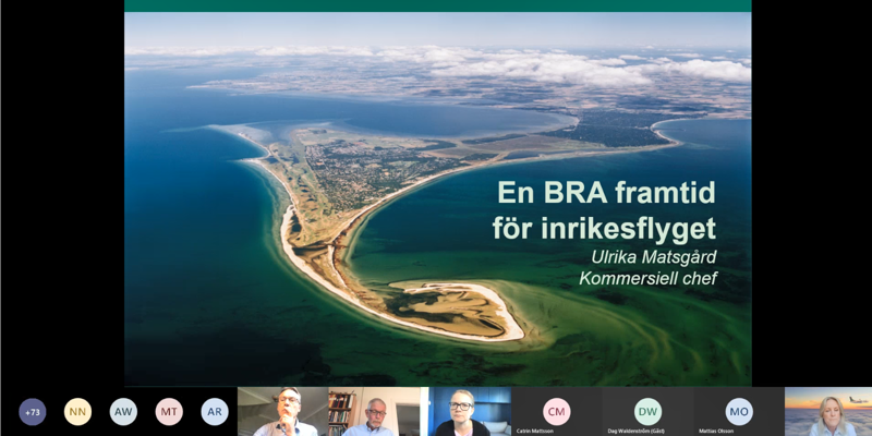 Digitalt riksdagsseminarium om flygets framtid