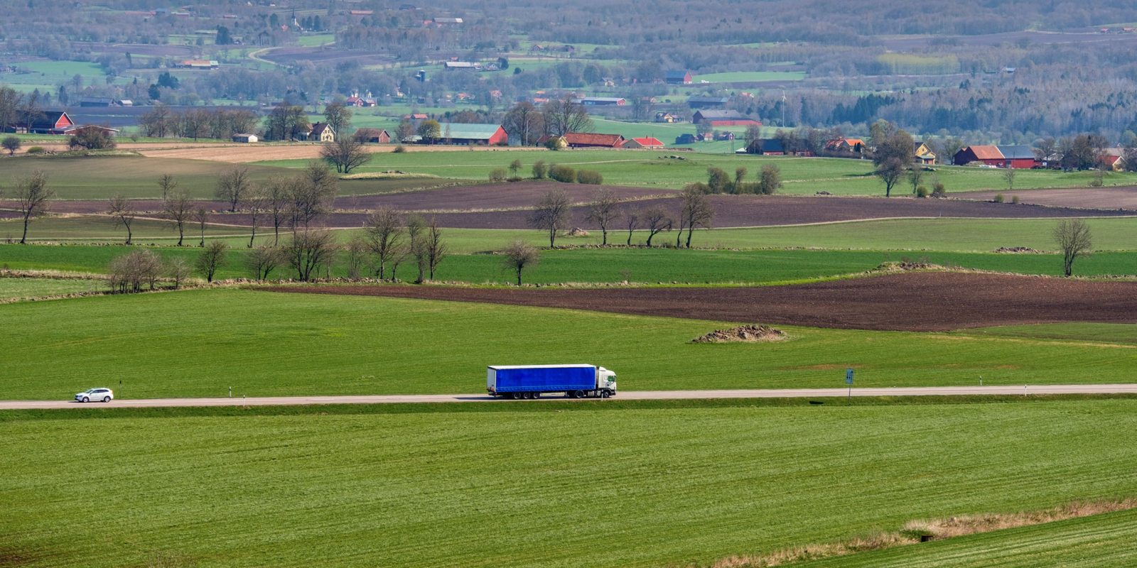Våra kommittéer och regioner