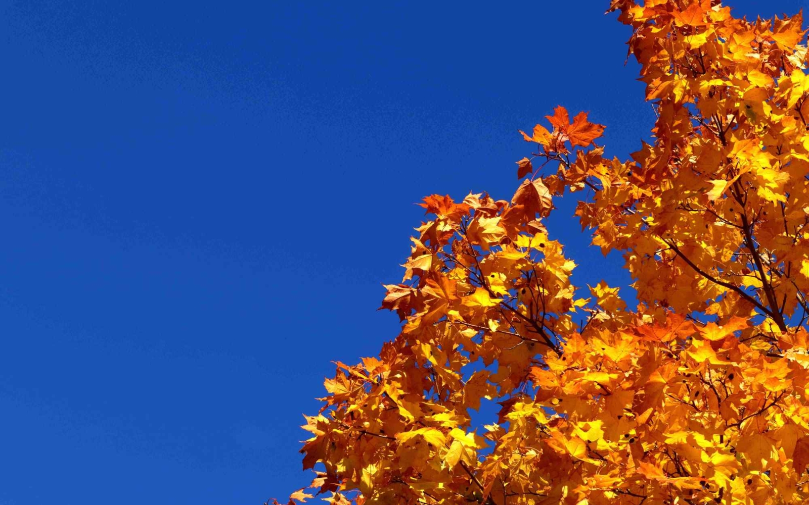 En intensiv höst och dimensioneringen av gymnasieskolan riskerar att köra i diket