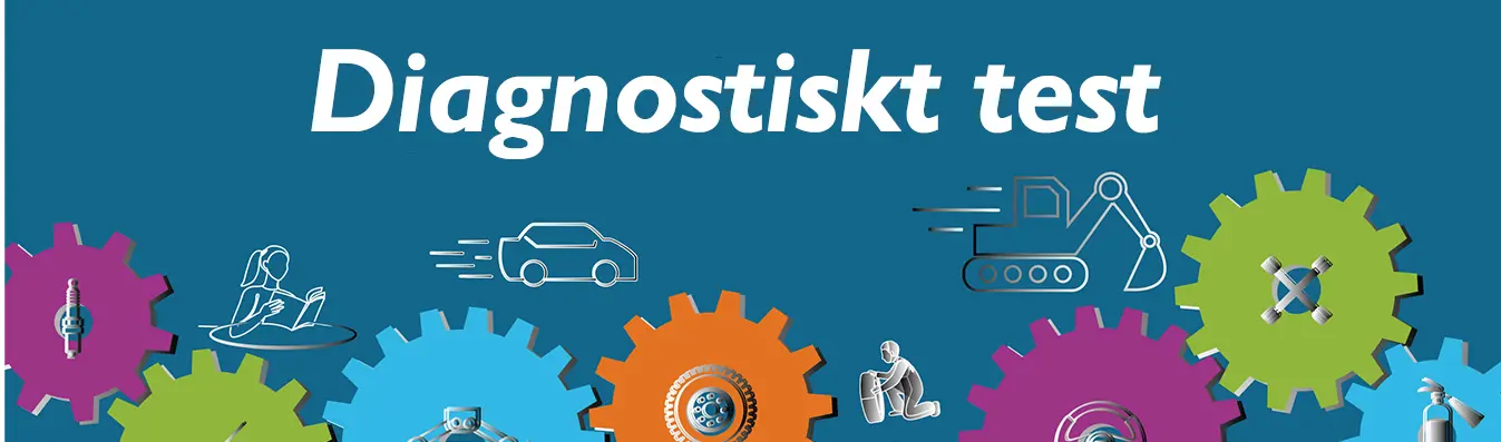 Diagnostiskt test för årskurs 3