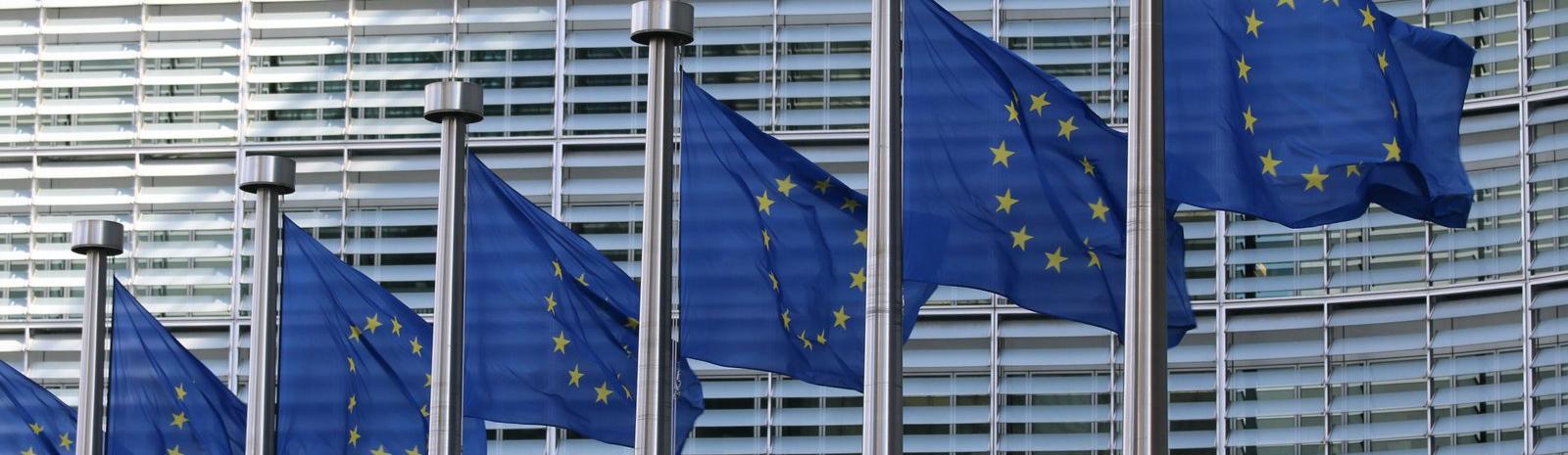 Lönetransparensdirektivet stoppas – regeringen kräver att EU tar omtag