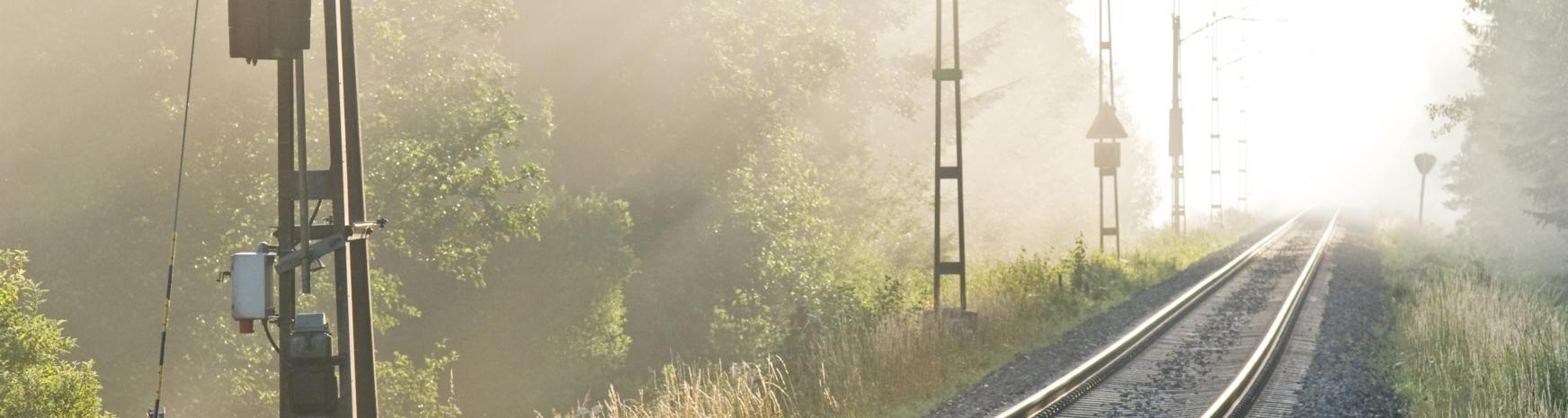 Våra kommittéer och regioner