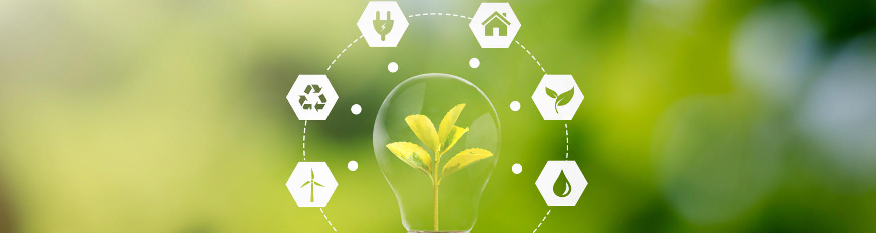 Hållbarhetsrapport 2025