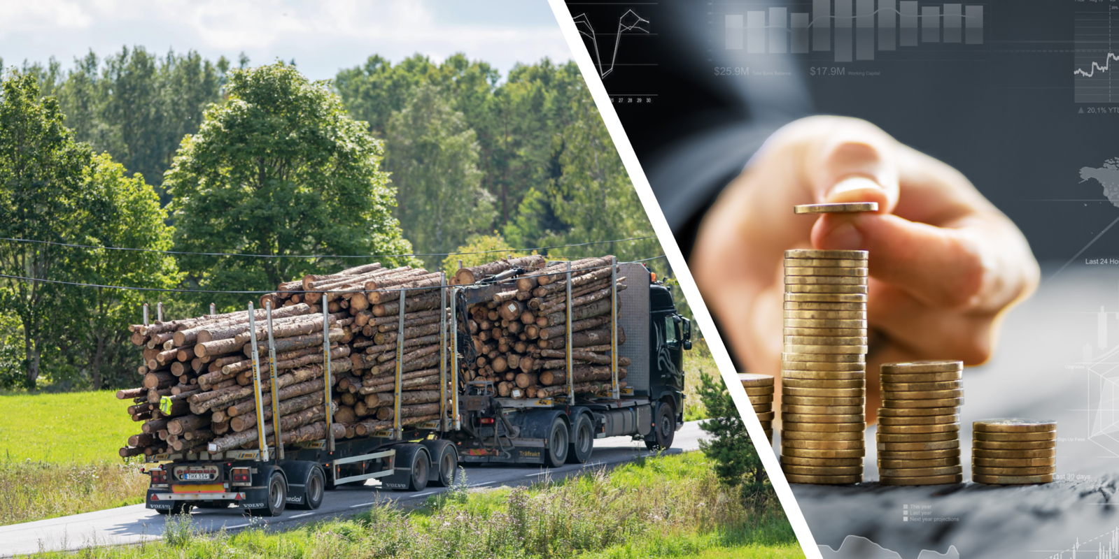 Vad innebär "märket" för lönerevisionen?