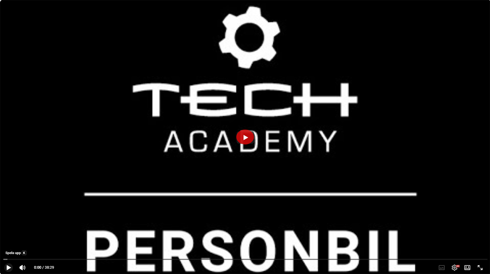 Förhandsgranskning av video