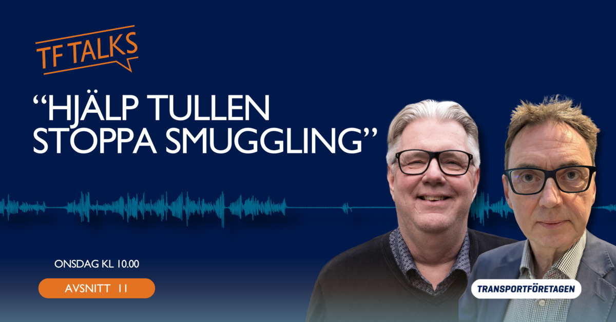 Förhandsgranskning av video