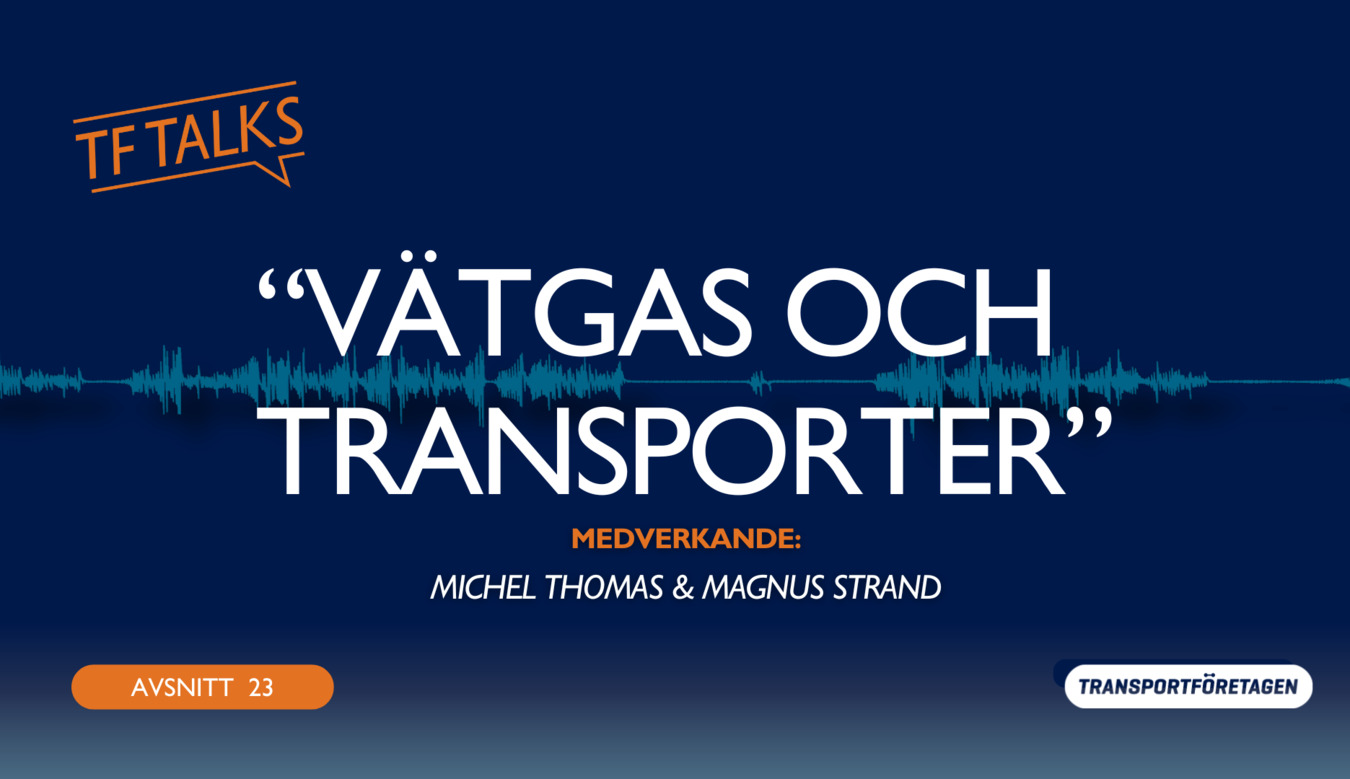 Förhandsgranskning av video