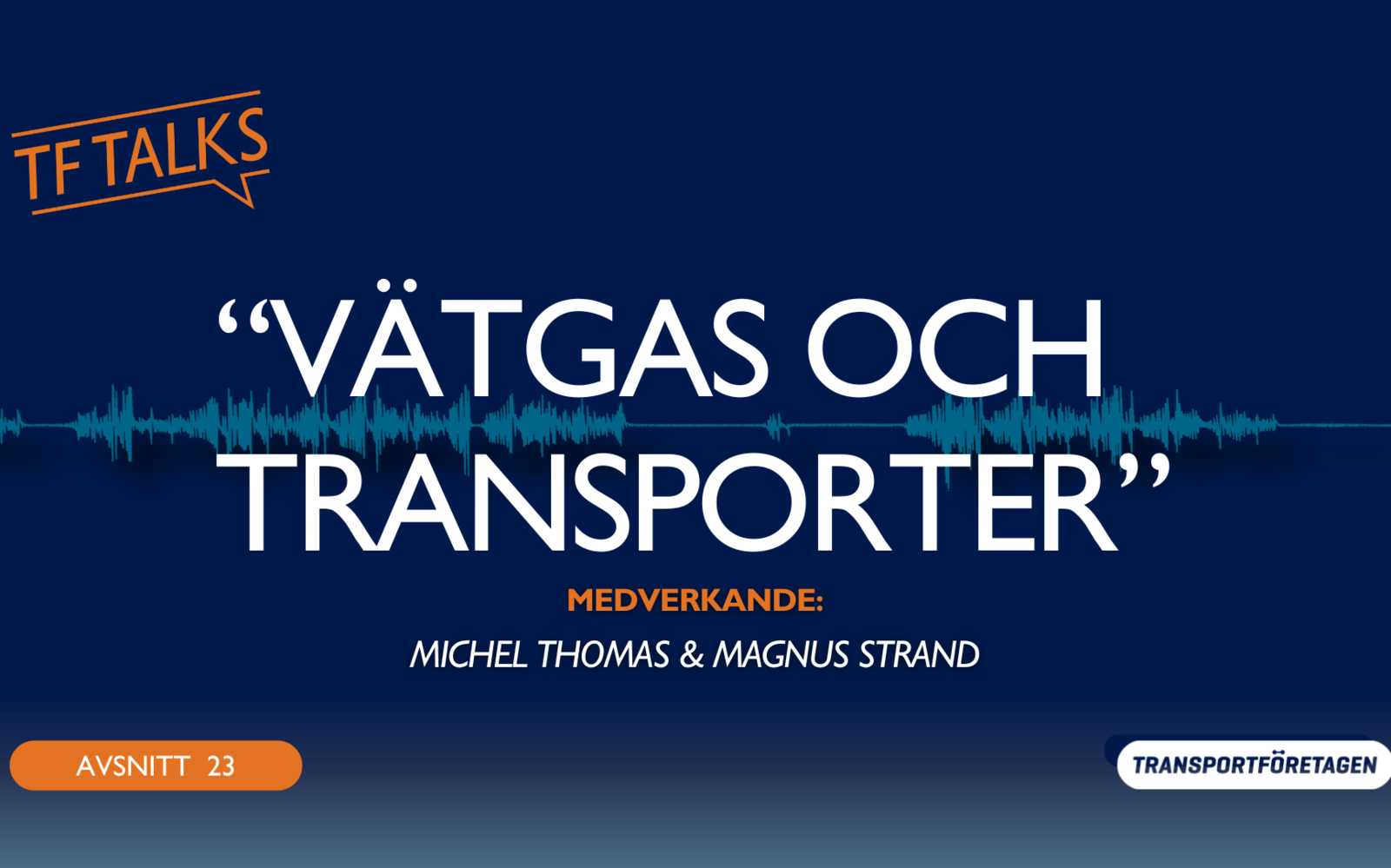 Avsnitt 23: Vätgas och transporter