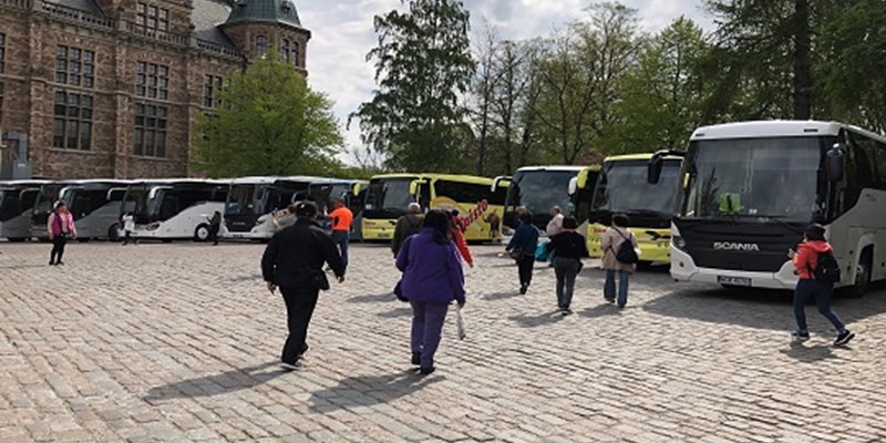 Turistbussar på Kungliga Djurgården